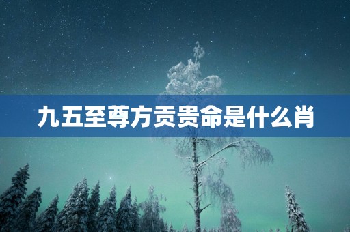 九五至尊方贡贵命是什么肖