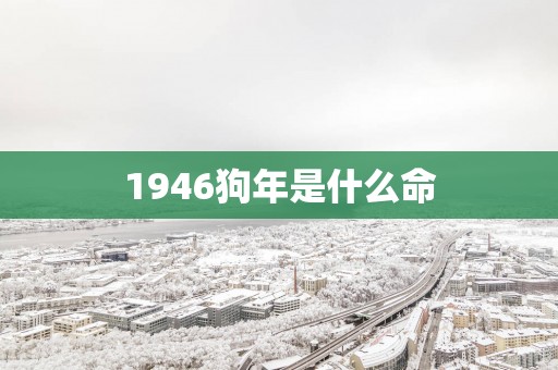 1946狗年是什么命