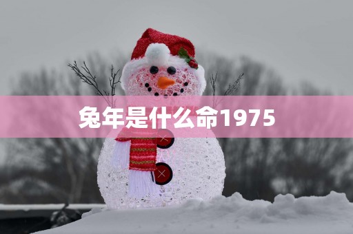 蛇年是什么命1975