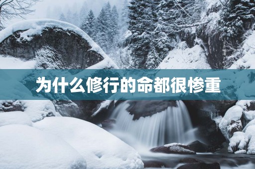 为什么修行的命都很惨重