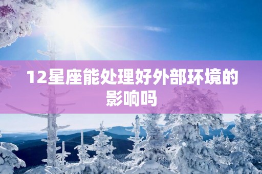 12星座能处理好外部环境的影响吗