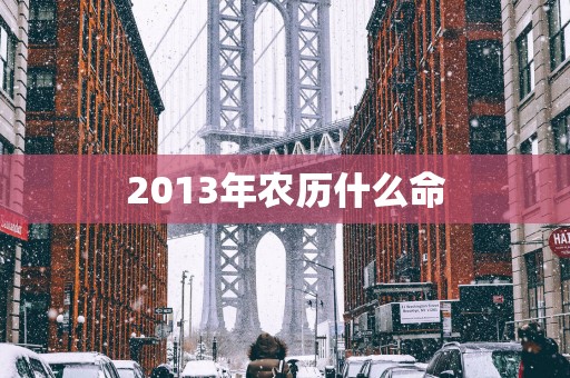 2013年农历什么命