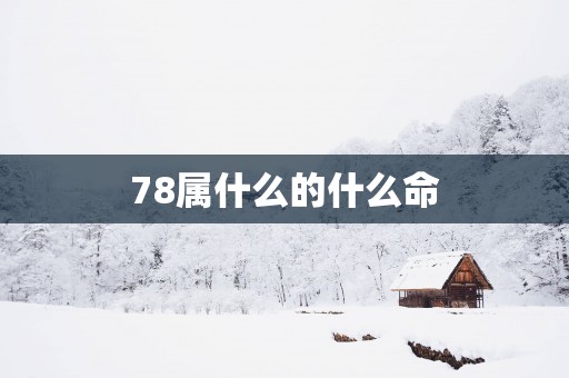 78属什么的什么命