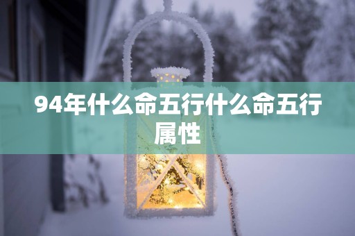 94年什么命五行什么命五行属性