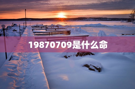 19870709是什么命