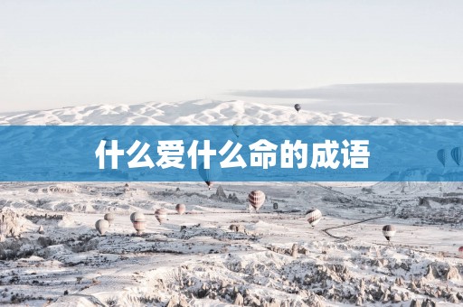 什么爱什么命的成语