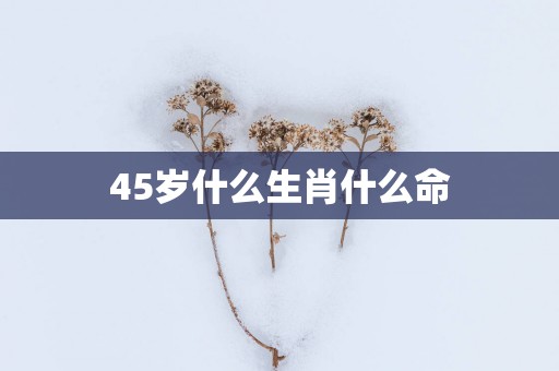45岁什么生肖什么命