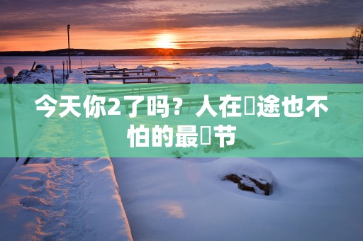 今天你2了吗？人在囧途也不怕的最囧节