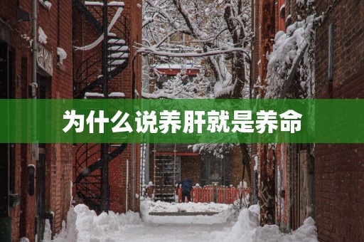 为什么说养肝就是养命