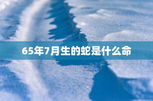 65年7月生的蛇是什么命