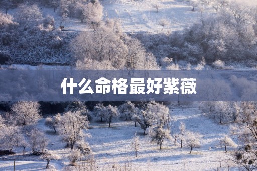 什么命格最好紫薇