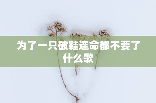 为了一只破鞋连命都不要了什么歌