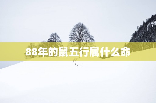 88年的鼠五行属什么命