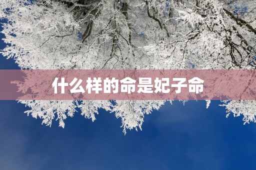 什么样的命是妃子命