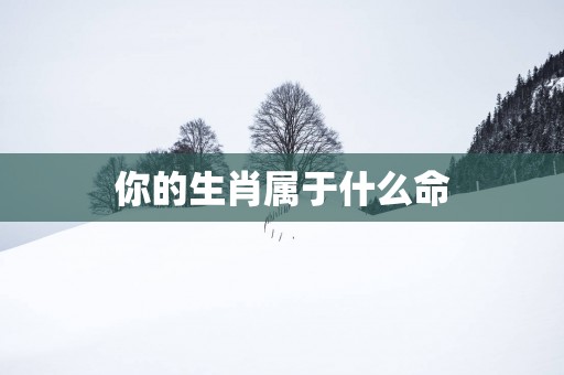 你的生肖属于什么命