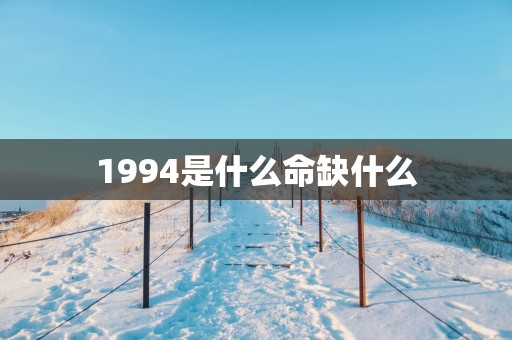 1994是什么命缺什么