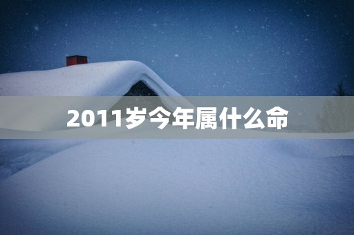 2011岁今年属什么命
