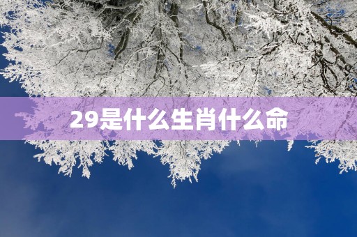 29是什么生肖什么命