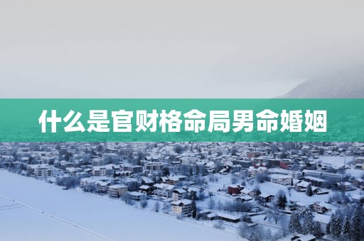 什么是官财格命局男命婚姻