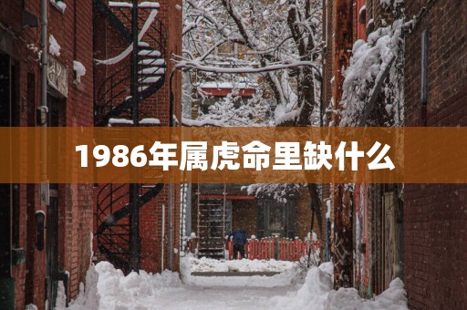 1986年属虎命里缺什么