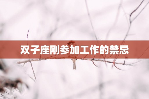 双子座刚参加工作的禁忌