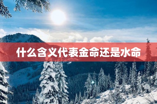 什么含义代表金命还是水命