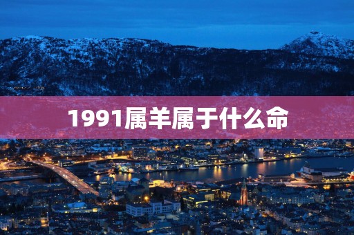 1991属羊属于什么命