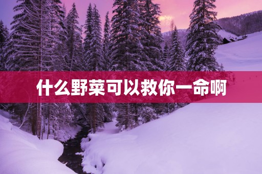 什么野菜可以救你一命啊