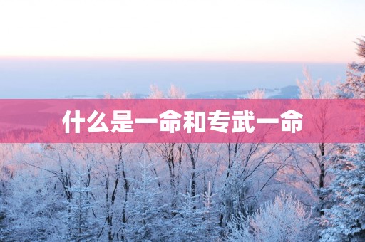 什么是一命和专武一命