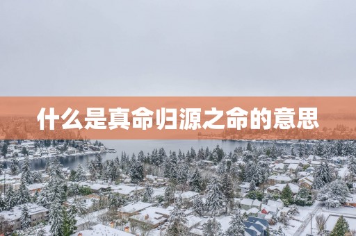 什么是真命归源之命的意思