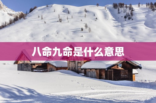 八命九命是什么意思