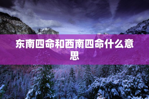东南四命和西南四命什么意思