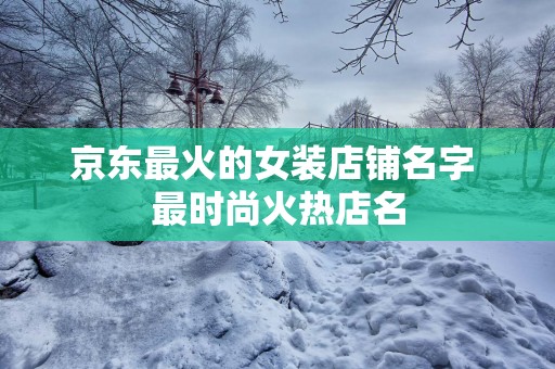 京东最火的女装店铺名字 最时尚火热店名