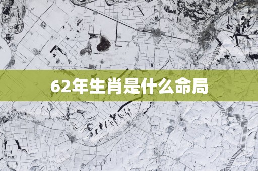 62年生肖是什么命局