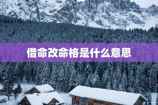 借命改命格是什么意思