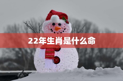 22年生肖是什么命
