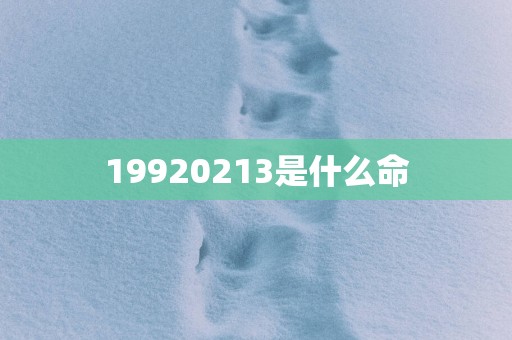 19920253是什么命