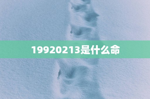 19920213是什么命