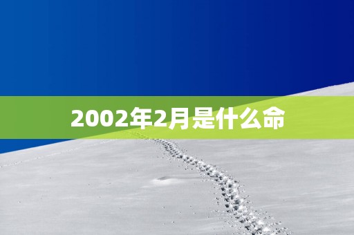 2002年2月是什么命