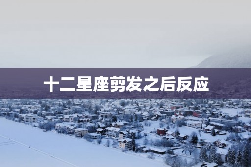 十二星座剪发之后反应