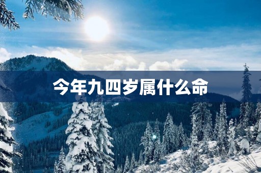 今年九四岁属什么命