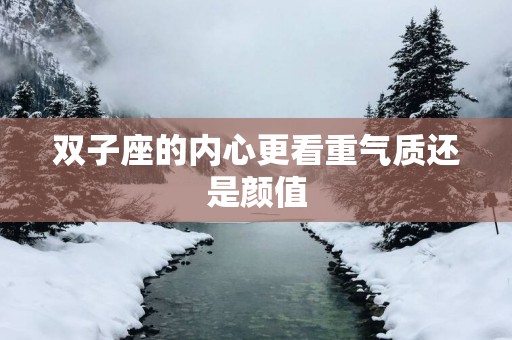双子座的内心更看重气质还是颜值