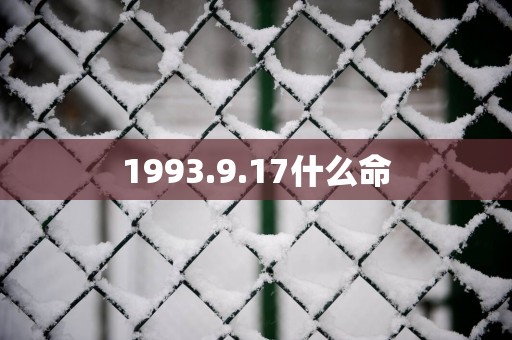 1993.9.17什么命