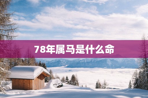 78年属马是什么命