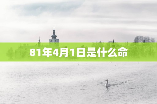 81年4月1日是什么命