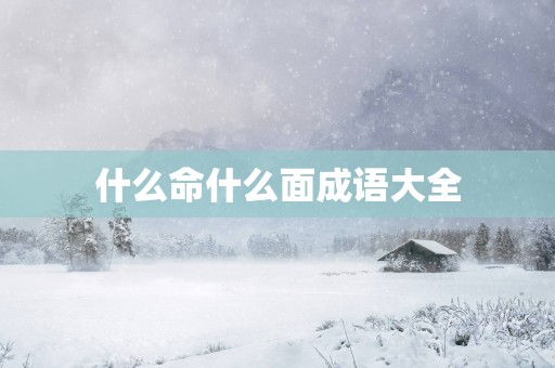 什么命什么面成语大全