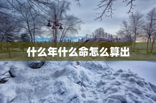 什么年什么命怎么算出
