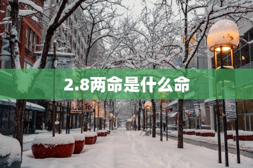 2.8两命是什么命