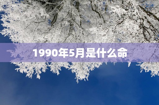 1990年5月是什么命