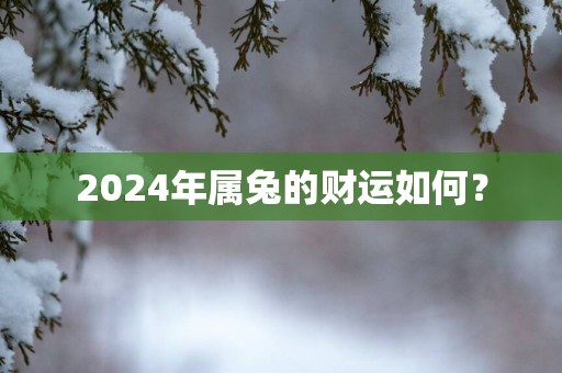 2025年属兔的财运如何？
